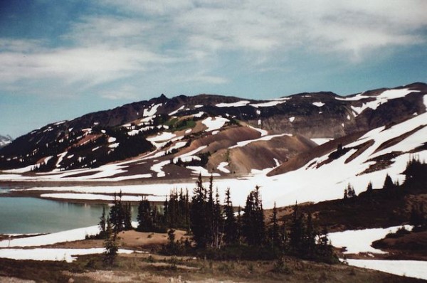 neige1 600x398 Robin Mellway