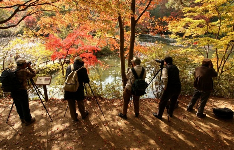 pb 111117 fall japan 04a 750x480 pic on Design You Trust pb 111117 fall japan 04a 750x480 Autumn colors at the Kobe Municipal Arboretum