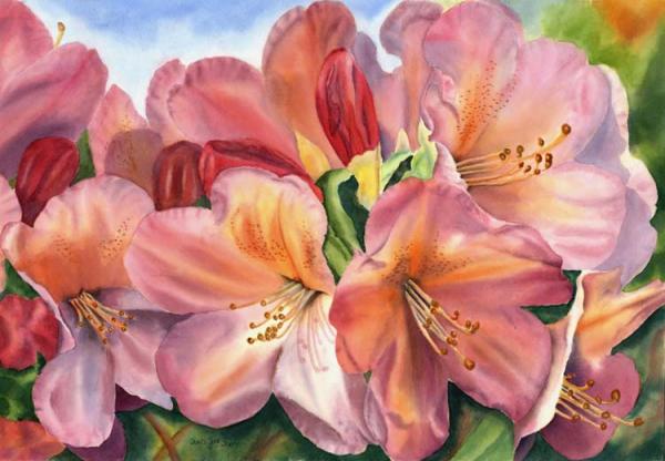 rhododendronrhapsody1600 416 Beautiful Rose Paintings by Doris Joa