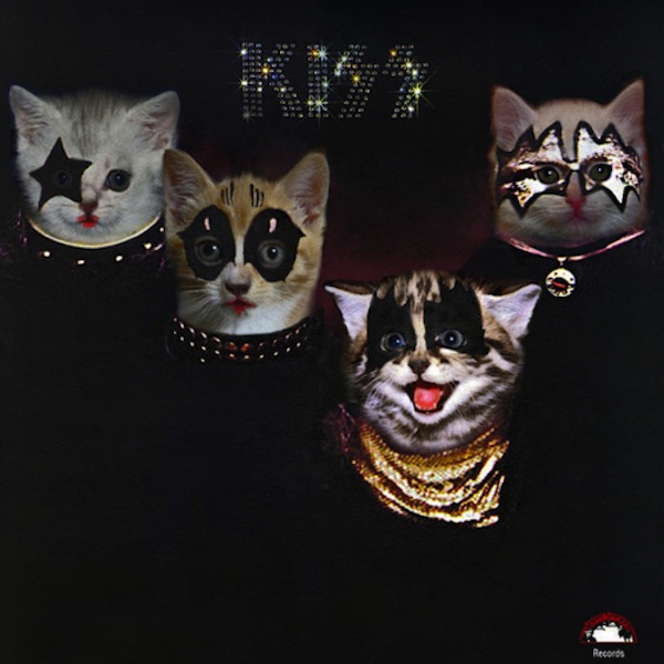 the kitten covers kiss the kitten covers