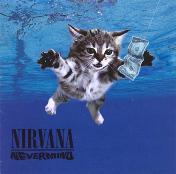 the kitten covers nirvana the kitten covers