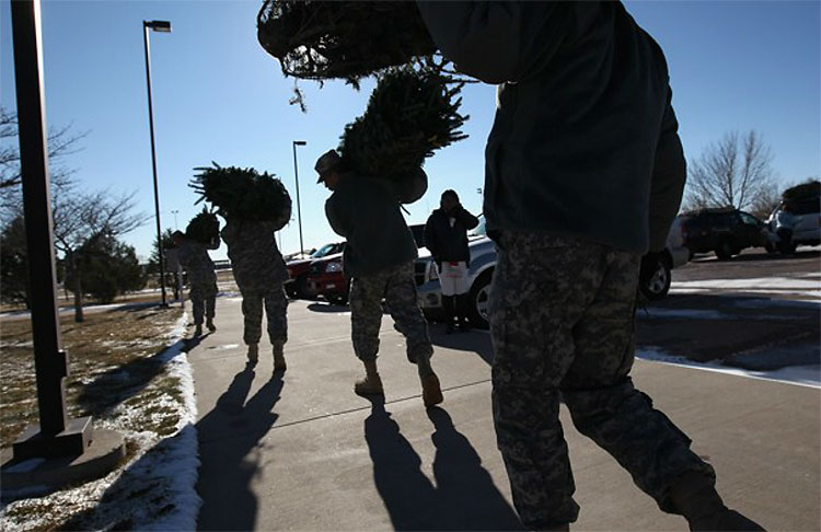 1018 Christmas Trees: The World Report