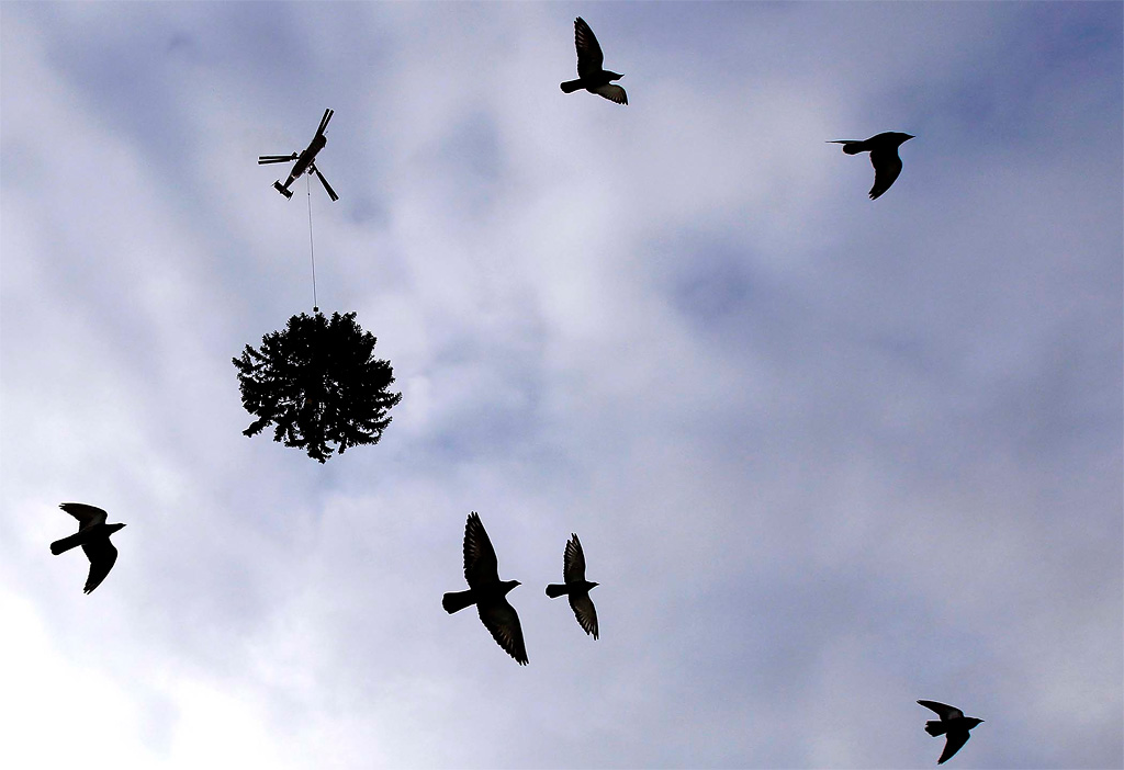 Photo of the Day: Its Time to Fly 11 Photo of the Day: Its Time to Fly