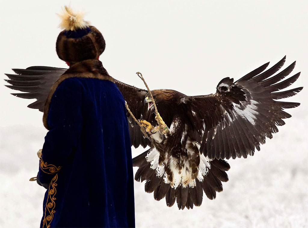 Photo of the Day: With Wings Wide Open 1107 Photo of the Day: With Wings Wide Open