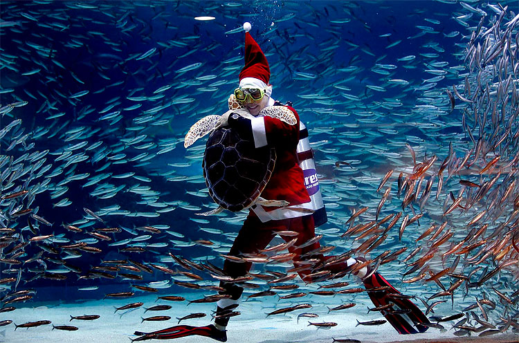 11106 Santas of the World 2011