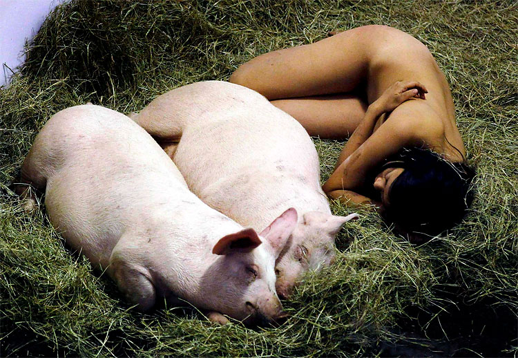 112 I Like Pigs and Pigs Like Me