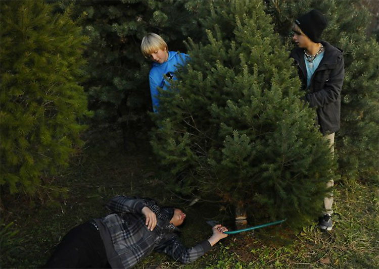1123 Christmas Trees: The World Report
