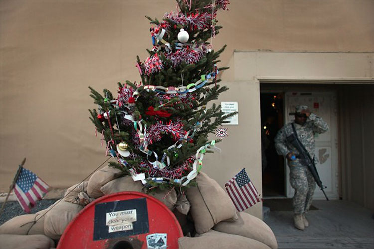 1124 Christmas Trees: The World Report
