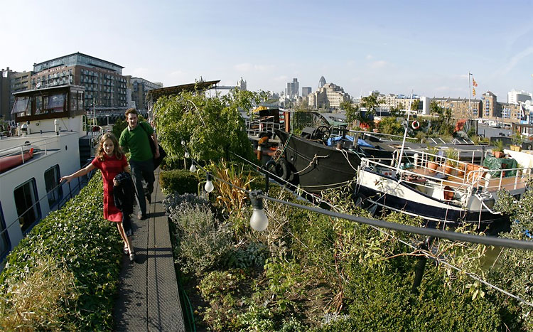1216 The Green Revolution: Urban Gardens Transform Traditional Cityscapes