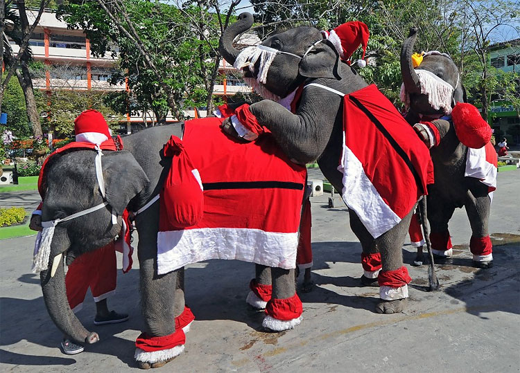 1267 Santas of the World 2011