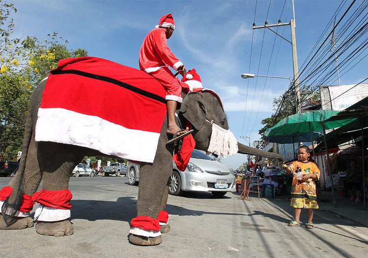 1273 Santas of the World 2011