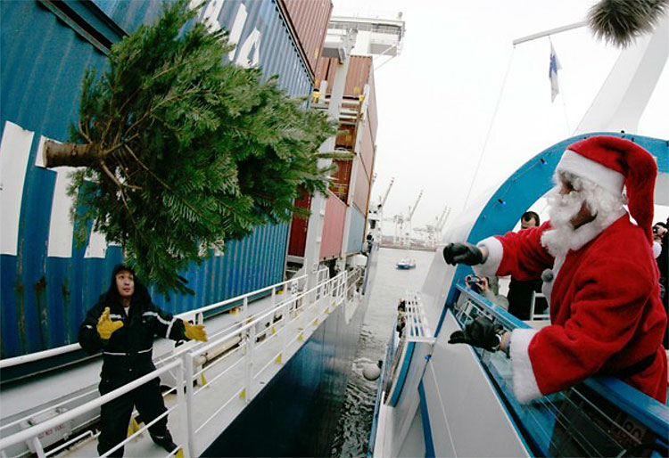 1315 Christmas Trees: The World Report