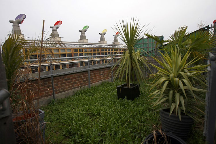 1413 The Green Revolution: Urban Gardens Transform Traditional Cityscapes