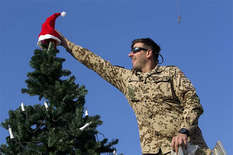 1416 Christmas Trees: The World Report