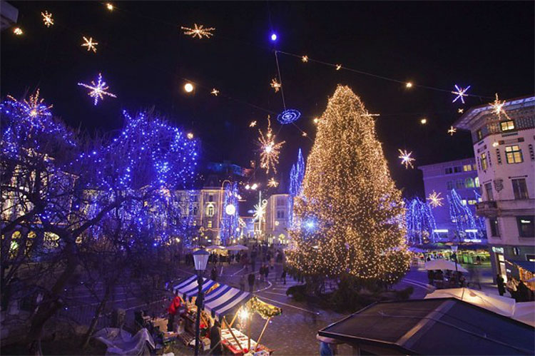 1514 Christmas Trees: The World Report