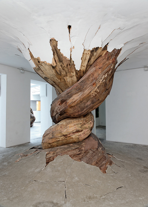 1 olivera opt Henrique Oliveira: “Desnatureza”