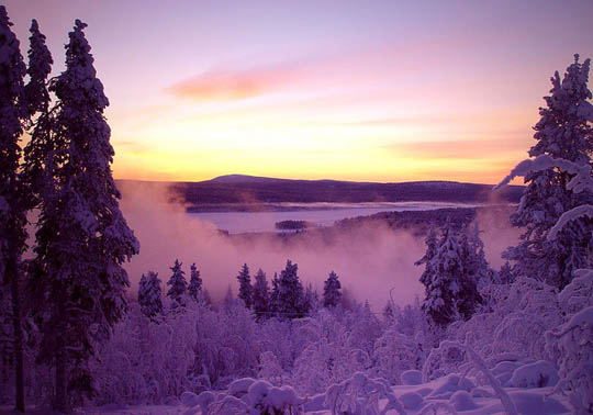 21.snowy trees pic on Design You Trust 21.snowy trees The Magic of Nature:35 Dazzling Snowy Tree Photos