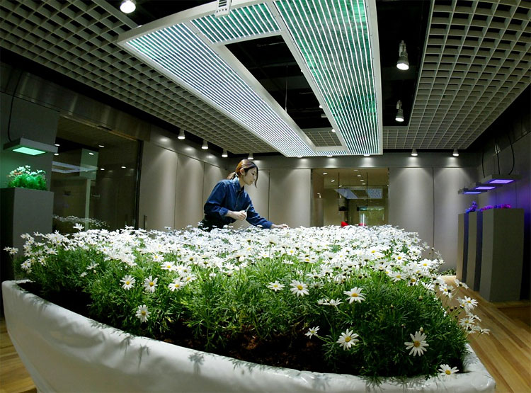 431 The Green Revolution: Urban Gardens Transform Traditional Cityscapes