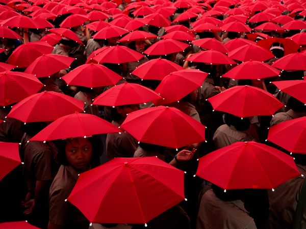 444803 pic on Design You Trust 444803 Life in Color : Red