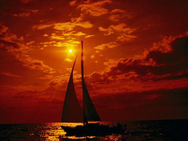 445325 Life in color : Orange