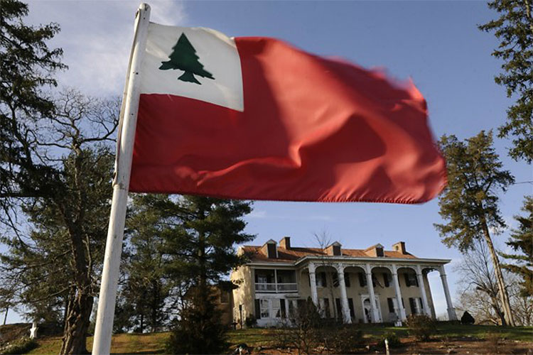 528 Christmas Trees: The World Report