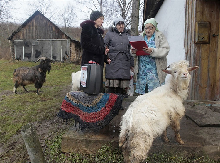Parliamentary Elections in Russia in Photos 612 Parliamentary Elections in Russia in Photos