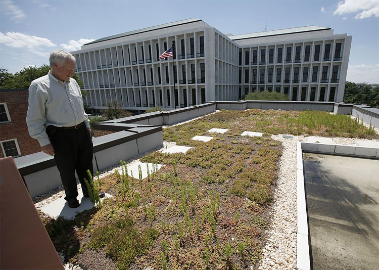 622 The Green Revolution: Urban Gardens Transform Traditional Cityscapes