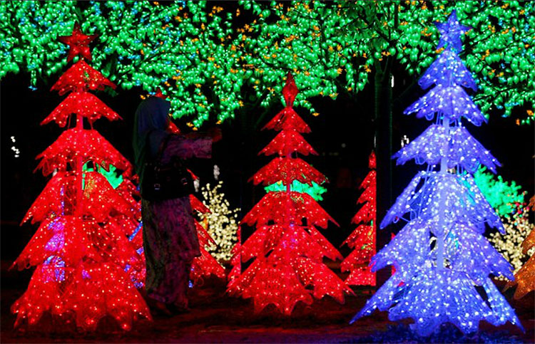 818 Christmas Trees: The World Report