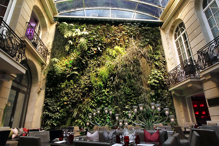 912 The Green Revolution: Urban Gardens Transform Traditional Cityscapes