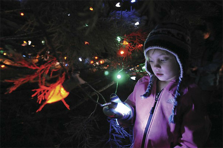 914 Christmas Trees: The World Report