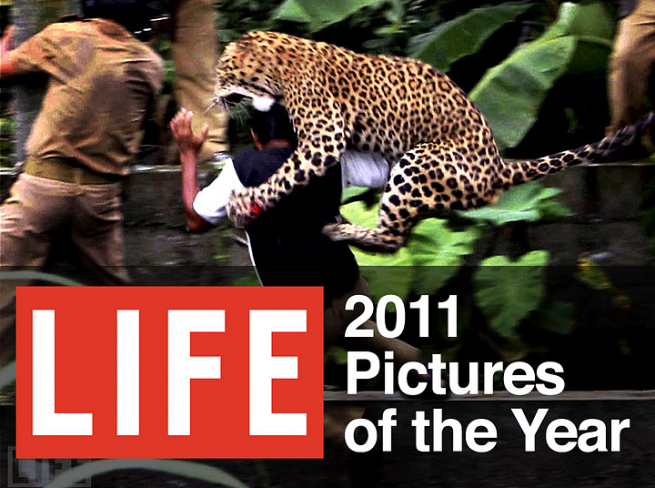 Incredible Photography: LIFE – 2011 Pictures of the Year Life 01 Incredible Photography: LIFE – 2011 Pictures of the Year