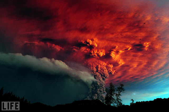 Life 03 Incredible Photography: LIFE – 2011 Pictures of the Year