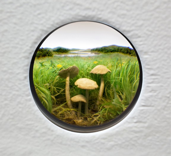MushroomCluster1Enlarged2 Patrick Jacobs incredible diorama