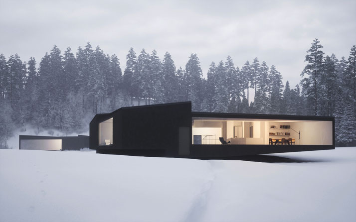 Twins Houses in Five Parts by William O Brien Jr photo Peter Guthrie yatzer 0 The Sensational House of the Week N°9 !  