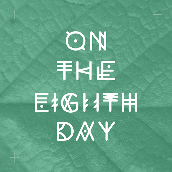 a5429311d81e623e5bc0fbf381f76bec Experimental Typeface of 2011   NATIVE 