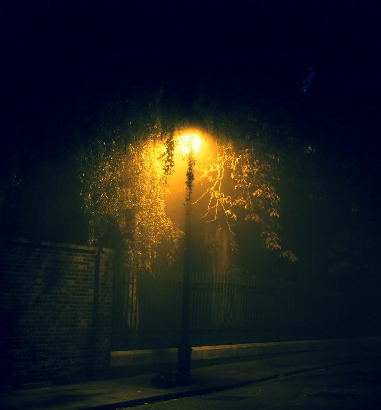 atree2 750x805 Night time photography by Phillyatchi { @phillyatchi }
