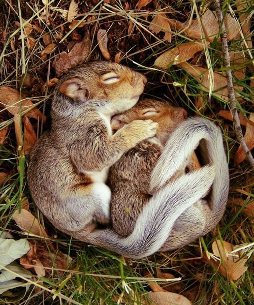 c1a4 Daily Inspirations no. 312