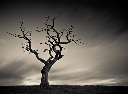 DAILY INSPIRATIONS FOR DYT #227 dyt1c17 DAILY INSPIRATIONS FOR DYT #227