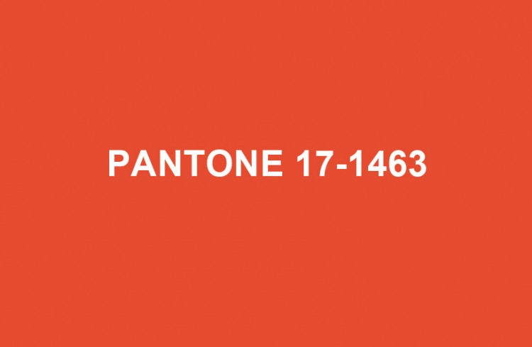 PANTONE color of 2012: Tangerine Tango pantone2012 01 750x489 PANTONE color of 2012: Tangerine Tango