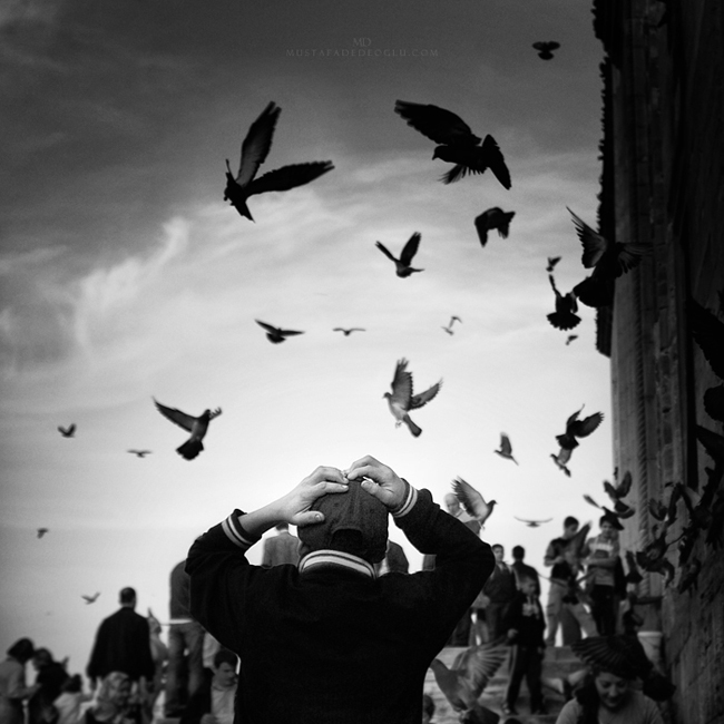 06 by Mustafa Dedeoglu Expressive Pictures By Mustafa Dedeoglu 