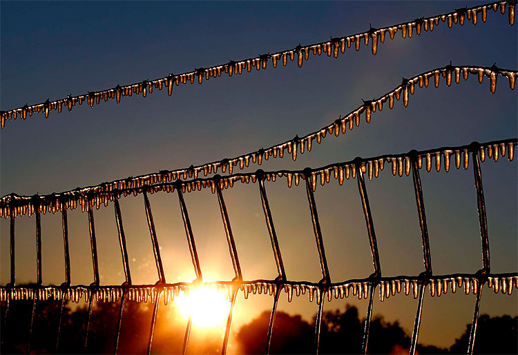 133 pic on Design You Trust 133 Frosty Florida: Seasons First Cold Spell Passes through the State