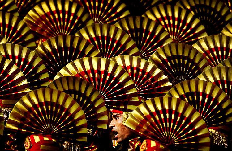 India Celebrates the Republic Day 2138 India Celebrates the Republic Day