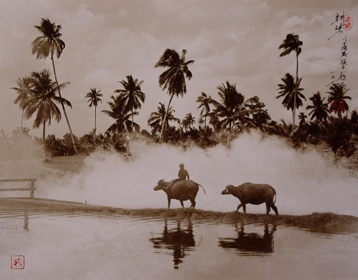 Don Hong Oai Drawings 3023809729 0b985c30b6 o Don Hong Oai Drawings