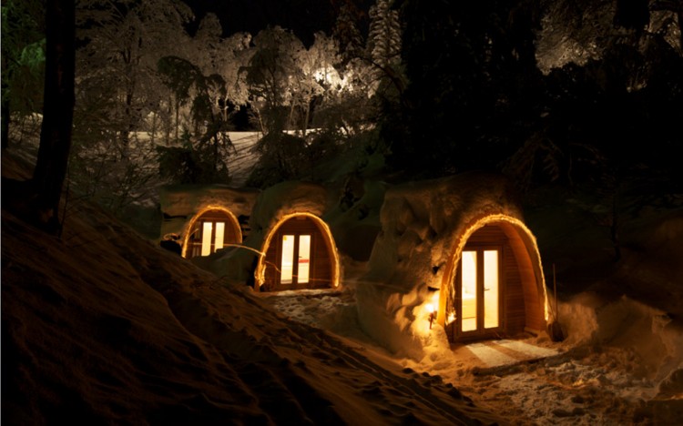 447 750x468 pic on Design You Trust 447 750x468 Eco POD hotel in Switzerland