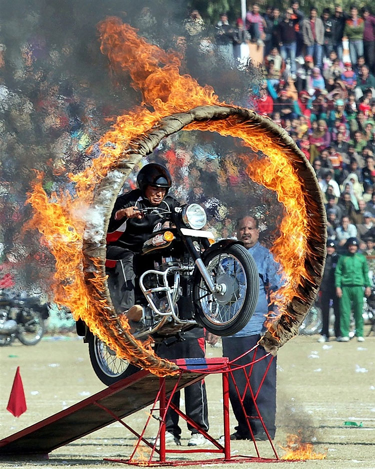 India Celebrates the Republic Day 738 India Celebrates the Republic Day