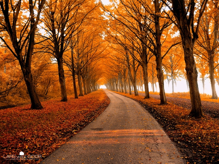 Beautiful Lane Photography Lars 01 Beautiful Lane Photography By Lars Van De Goor