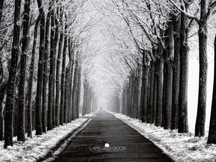 Beautiful Lane Photography Lars 02 Beautiful Lane Photography By Lars Van De Goor