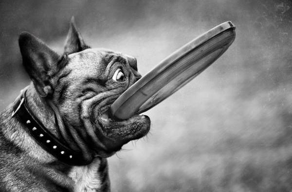 Black White Photography Slam Bite Black and White Photography: 30 Beautiful Examples | Designsidea