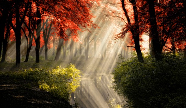 Photogaphy Inspiration by Lars van de Goor 12 610x354 Lars van de Goor Photography