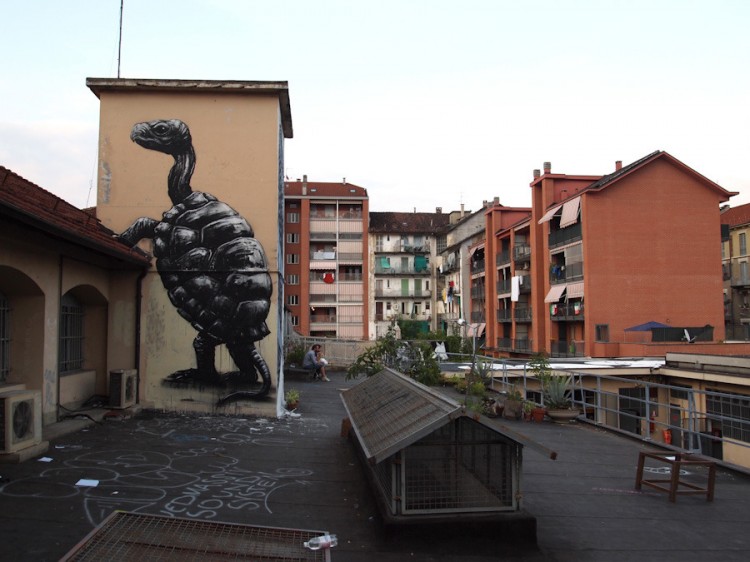 ROA Artwork Around The World ROA La fabrica Matteo Torino P7262135 1000 750x562 ROA Artwork Around The World